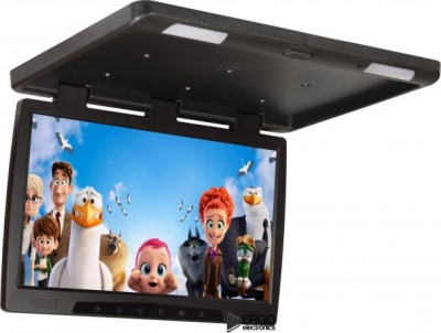 Потолочный монитор 22" ERGO ER22H (1680x1050) черный
