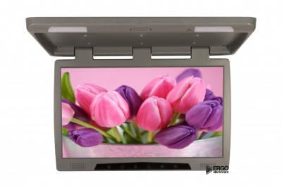 Потолочный монитор 20" ERGO ER20H (1680x1050) серый