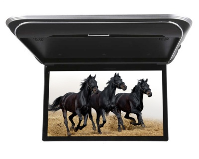 ПОТОЛОЧНЫЙ МОНИТОР 15,6" С МЕДИАПЛЕЕРОМ ERGO ER15M (1920X1080, FULLHD IPS) ЧЕРНЫЙ