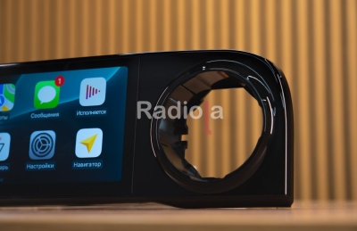 Монитор для переднего пассажира в Tank 300 